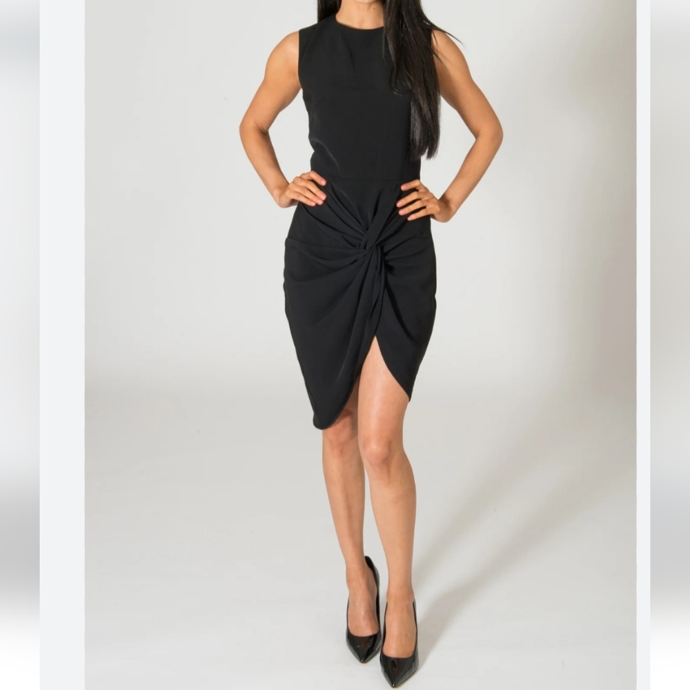 Jaggar Good Morning Dress NWT